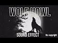 wolf howl sound effect night wolf sound no copyright free