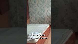 Будинок в селі Доступна ціна Всі зручності Крива Балка Одеська область #нерухомість #оглядбудинків