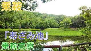 乗鞍高原－「あざみ池」の紹介　「一の瀬園地」内にある大きな池です。マガモがいます。最近は親子熊が出没していますので注意してください。（2021.06.29）