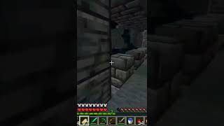 My Wife and I Try Out a INSANE Minecraft Challenge#ujjwal #wife #minecrafthindi #mods #shorts #virel