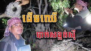 Real ghost hunter ដើមឈើបាក់សង្កត់ស៊ី នៅទីតាំងខ្មោចលងបងប្រុសឡើងឈឺ