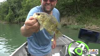 Casting Forward Outdoors River Bassing on the Eleven Point River