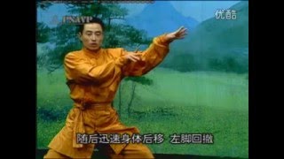 少林螳螂拳—插捶