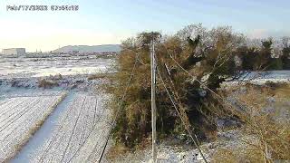 コウノトリの巣の周囲　雪の朝風景20220217