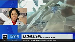 FIU's Dr. Marty on cases of leprocy in Florida