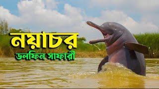 weekend tour near kolkata 2021 | Noachar Wildlife Tour | dolphin safari West Bengal Eco Resort