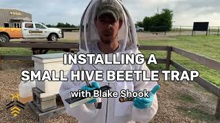 BEEKEEPING in under a minute: Installing a Small Hive Beetle Trap with Blake Shook