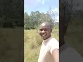 live in kenyan forest 🇰🇪