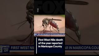 First West Nile Virus death of year reported in Maricopa County | FOX 10 Phoenix