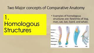 Comparative Anatomy HOMOLOGOUS AND ANALOGOUS STRUCTURES SCIENCE 10 THIRD QUARTER