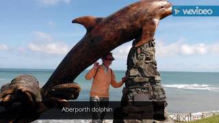 Aberporth to Tresaith walk 7.6.17