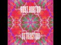 attraction original mix