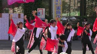 粋  2018  富士見町内会祭り