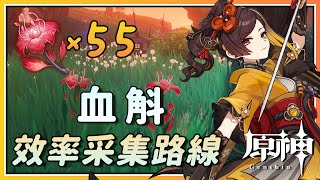 【原神】千织/九条裟罗突破素材血斛x55稻妻特产效率采集路线