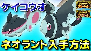 【ポケモンSV】ケイコウオ・ネオラント入手方法！オススメ出現場所と進化条件も解説します！【スカーレット・バイオレット】