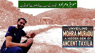 Unveiling Mohra Muradu A Hidden Gem of Ancient Taxila | Pakistan | Travel Vlog