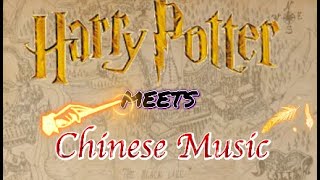 When Harry Potter meets Chinese music | 哈利波特和中国音乐 ｜ Chinese instrument 中国乐器 ｜John Williams