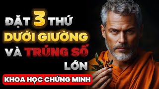 [KHOA HỌC CHỨNG MINH]✅ĐẶT 3 CÁI NÀY DƯỚI GIƯỜNG VÀ TRÚNG SỐ LỚN | Nhật Ký Cổ Nhân