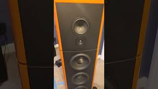 Magico S7 READY - SET - GO!!