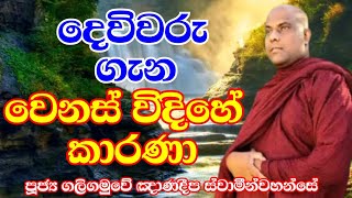 දෙවිවරු ගැන වෙනස් විදිහේ කාරණා. පූජ්‍ය ගලිගමුවේ ඤාණදීප ස්වාමීන්වහන්සේ.