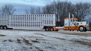 1984 Peterbilt 359 with a 1lw 550 cat motor cattle hauler