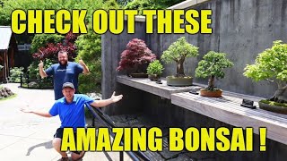 Bonsai Exhibit at The North Carolina Arboretum ~ Episode 1