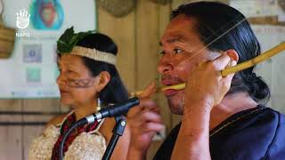 Napo Cultura Viva | Grupo de arte ancestral Wayra Churis