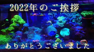 2022年最後の動画❗️来年も我が海水水槽を宜しくお願い致しますmy coral aquarium MOAMOAちゃんねる