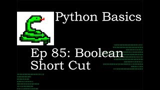 Python Basics Boolean Shortcut