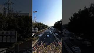 厦门人行天桥车辆行驶街景Xiamen pedestrian overpass vehicle driving street view #china #travel #walkingtour