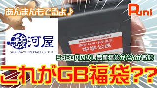 【駿河屋福袋⑤】5480円の少し高額なゲームボーイ福袋を購入したら・・・ゲームボーイで動かないソフトが入ってた！あんまんとビニール袋