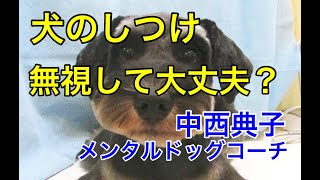 【犬のしつけ】犬の要求は無視する、というしつけはやっても大丈夫？