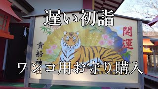 ポメラニアン　きらチャンネル 68   【初詣】【祈願】【神社】初詣　みどり市貴船神社