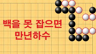 바둑 묘수 사활 - 백을 못 잡으면 만년하수에서 벗어 날 수 없습니다