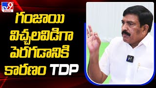 గంజాయి విచ్చలవిడిగా పెరగడానికి కారణం TDP : MLA Dwarampudi Chandrasekhar Reddy - TV9