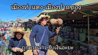 #เที่ยวลาว #ถูกหวย ลาวจนได้ พาเลาะตลาดเมืองท่าแตง#แขวงเชกอง ลงมาถึง เมืองปากชองแดนหนาว #บรรยากาศ ดีๆ