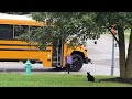 Cat drops friend at school bus every day