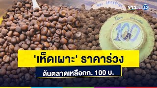 'เห็ดเผาะ' ราคาร่วง ล้นตลาดเหลือกก. 100 บ.