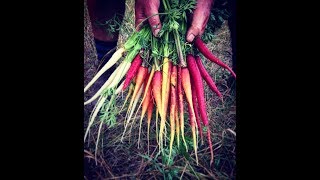 INCREDIBLE ORGANIC FARM TOUR! But first, a flat tire...