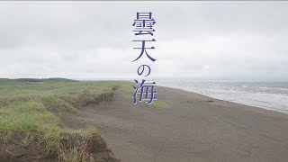 【北海道石狩市】番屋の湯から海がとても近いので行ってみたぞ！そしてカピバラがかわいい