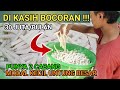 DI KASIH BOCORAN OMSET 30 JUTA|| CUMA MODAL TELA + TEPUNG TERIGU SAJA