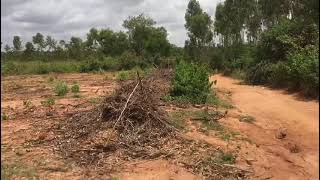 1 acre 17 gunta farm land for sale in Doddaballapura