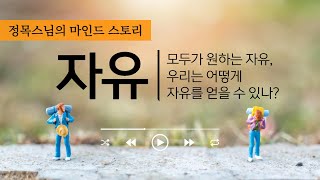 [마인드스토리] 당신은 진정 자유롭나요?/마음챙김과 자유/우조티카스님의 말씀