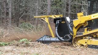 CAT 299D2 XHP equipped with a SS Extreme disc mulcher. - Advanced Forest Equipment