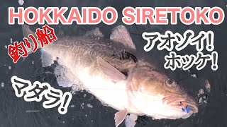 【釣り船】アオゾイ！ホッケ！マダラも！！知床ウトロ　喜共丸