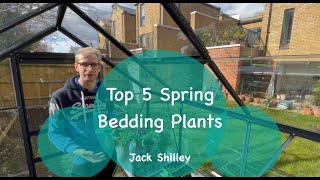 Top 5 Spring Bedding Plants | Jack Shilley