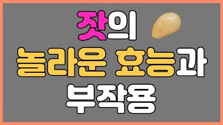 지방산과 단백질이 풍부한 잣의 놀라운 효능과 부작용~!!