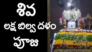 shiva bilva dalam pooja. |shiva laksha bilva dalam pooja |1k