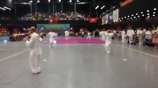 劉老師2014香港國際武術比賽太極項目奪金  Master Lau 2014 HK WuShu International Competition Taiji Event Gold Metal Win