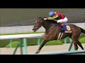 h31.04.0 7　gⅠ桜花賞　優勝馬：グランアレグリア 　阪神競馬場